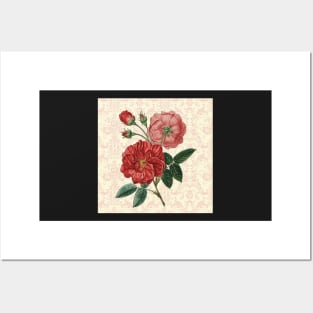 Rose Art Vintage Pink & Red Rose Design on Blush Pink, Cream Damask Pattern Posters and Art